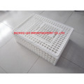 Plastic crate for chicken transportation day old chicks transportation for sale